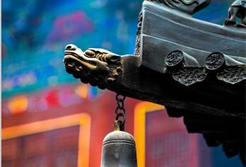 龙门石窟+少林寺一日游【8/15人精品团|上门接送|含讲解】【[贴心赠送]成人免费使用无线耳麦，超长距离听导游讲解，畅快游玩；】