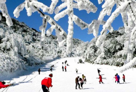 赏雪·重庆金佛山+天星小镇一日游【商圈定点接+赠保暖套装】【主城商圈定点接客，暖气大巴，大巴团赠送手套+暖宝宝，暖心出游】