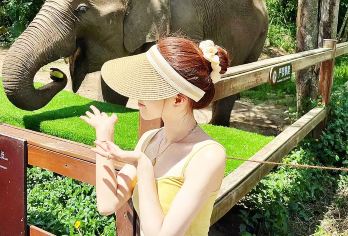 【精品小团 含电瓶车】野象谷+傣族园纯玩一日游丨市区上门接送【[行程更灵活]6人内小团，专车上门接送，出发时间自由宽松，景点停留时间可以根据您的需求调整，随心玩。】