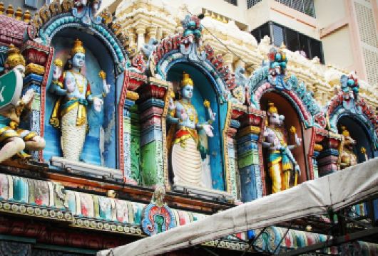 【新加坡一日游】牛车水+小印度+滨海湾花园+夜间动物园【包车成团，畅游赤道明珠，体验魅力南洋】