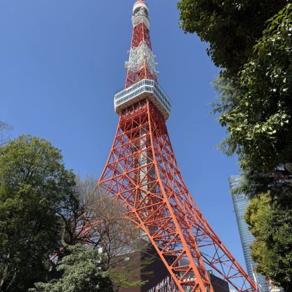东京经典游(浅草寺/皇居外苑/东京塔不含票/明治/六本木)
