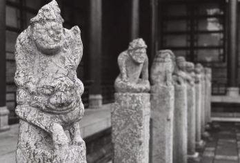 买1送1┃西安碑林+城墙资深文史讲者3H互动纯讲解10人拼团【碑林城墙一次搞定】