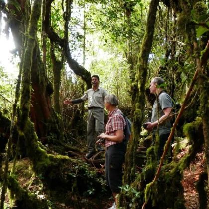 金马仑高原一日游【槟城出发金马伦高原苔藓森林一日游】