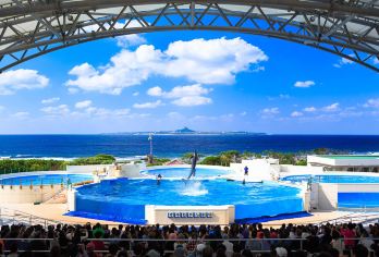 日本冲绳北部一日游|万座毛&古宇利岛&美丽海水族馆&美国村【在美丽海水族馆近距离欣赏巨大的鲸鲨和鱼，体验海洋生态的奇妙】