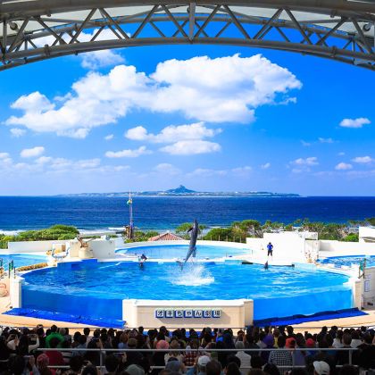 冲绳北部一日游|美丽海水族馆含午餐+古宇利岛+万座毛+美国村