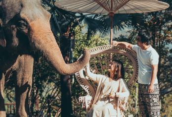 泰国清迈大象营查普林可巧康达大象保护互动粘粘瀑布漂流一日游【[精选项目]清迈原生态项目，多种套餐选择】