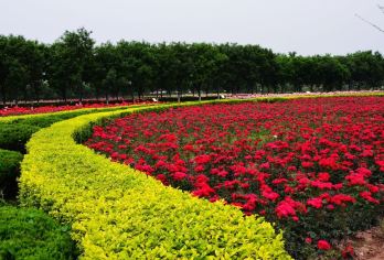 西安:吃喝玩乐嗨翻游-袁家村古镇-汉阳陵-昭陵|导游|包车F【全程中文/英文/俄语/各种小语种服洒务，沟通无障碍，景点可调,多种车型可选】