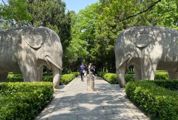 南京钟山风景名胜区一日游【研学导游+纯玩无购物】【[品质保障]优选商品，品质拒绝购物】