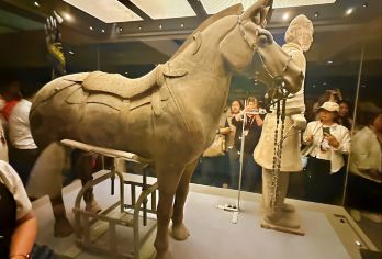 兵马俑+丽山园一日游【专业服务，交流无障碍，英语英文导游+车小团，可咨询下方客服-人工客服】