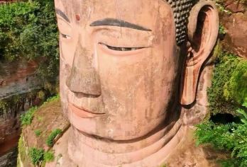 乐山大佛一日游【可选游船+黄龙溪】真纯玩|无自费|一价全含【乐山大佛登山深度游览、 乐山景区专业的佛学讲解员】