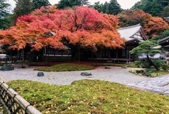 日本九州糸岛-白丝瀑布+雷山千如寺+樱井二见浦夫妇岩日游【当地专业“老司机”，靠谱贴心服务，详细了解日本当地风土人情】