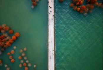 台州包车直达！黄岩天空之城 + 长潭水库一日游【包车直达不绕路，解锁天空之镜、红杉林等网红打卡点。赏云海湖光，品水库鲜鱼，一日玩转黄岩双景，轻松出片】