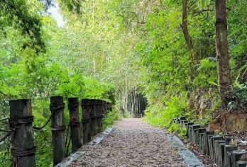 长岭国家登山健身步道+晓港公园【竹林秘境洗肺之旅。】