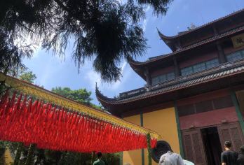 【政府补贴·限时特惠】杭州灵隐寺、飞来峰、杭州国际服装城纯玩【欲往灵隐寺，先到飞来峰】