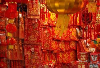 湛江出发徐闻包车10小时一日游|打卡菠萝的海+南极村+合水线【菠萝的海映南极，一路向南醉徐闻。可晚出发看南极村日落！可咨询拼车服务！】