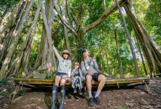 基诺山雨林徒步体验型独立商务团【西双版纳文旅大补贴+保障】【[安心保障]出有保险+应急通道、主打放心玩体验型线路，独立向导续航、错峰不排队、餐饮品质升级不拼团】