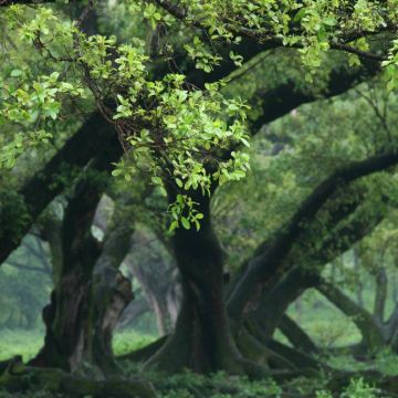 中国福建宁德霞浦一日游【包车 霞浦旅游摄影包车】