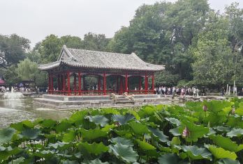 【梅韵王府游】恭王府+胡同游+梅兰芳非遗京剧（赠戏票）【探秘恭王府，讲解王府文化历史、建筑园林及人文典故,了解历代主人传奇故事】