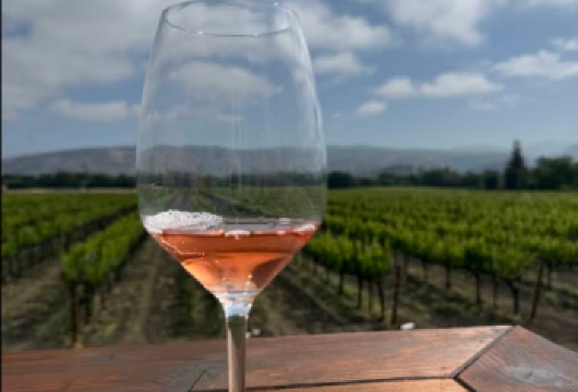 美国旧金山-纳帕谷-酒乡清风-微醺恰好【中文专车-悦享旅程】【上市旅行社，实力雄厚，服务规范可靠，为您带来更安心、更优质的服务体验。】