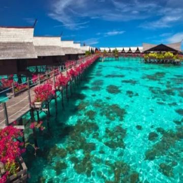 可选升级海钓+浮潜/上岛卡帕莱*仙本那马布岛+卡帕莱岛一日游