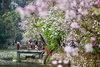 私家包车含门票|肇庆七星岩+鼎湖山+踏青赏花一日游|上门接送【私家旅行：一单一团，不拼客，专属旅行； 品质服务：5座/7座车上门接送，专职司机护航】