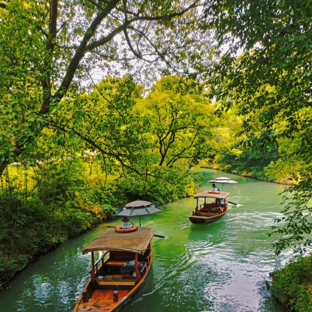 杭州西溪湿地【摇橹船包船】一日游(含景点门票)线路推荐【携程玩乐】