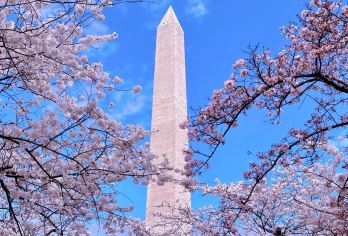 美国华盛顿-白宫-国会山-华盛顿纪念碑等景点可包车-精选【专属客服和本地中文司机，一家一团包车】