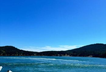 加拿多伦多市区一日游/行程可调-中文包车【精选热门景点，高效游玩不走回头路，深度了解文化内涵，贴心服务保障，轻松享受旅程，性价比超高的旅行。】