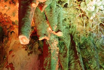 云浮蟠龙洞景区+ 风车山+象窝山生态园包车一日游-可英文服务【可提供英文及小语种导游服务-往返接送-可选导游-可代订门票】