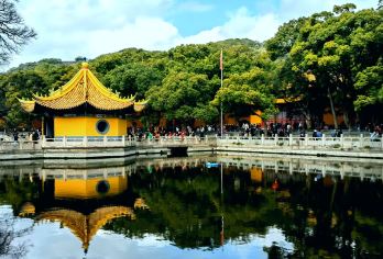 中国浙江舟山普陀山风景区一日游【独立成团/专业讲解】【一单一团 ，出行自由】