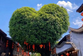 福州烟台山人工讲解服务【私讲团 可选时长 可选场次】【[时长保障] 不会「水」时长，每一场讲解确保都足料足质。】