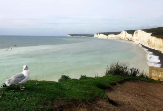 伦敦—布莱顿—七姐妹白崖—比奇角—经典路线VIP包车一日游【伦敦专车接送，不用赶早，赶时间 出发时间自由】