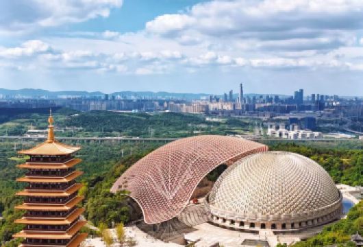 牛首山文化旅游区+老门东半日游【看南京网红大榴莲】【精选空调旅游大巴，出游放心游，给予舒适的旅游体验】