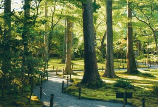 日本京都-琉璃光院-三千院-贵船神社-红叶满天 京都巡礼【专业行程定制，精选热门景点，高效游玩不走回头路，贴心服务保障，轻松】