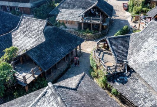 普洱景迈千年万亩古茶园+翁基布朗族老寨+糯干古寨包车一日游【[司机兼导]本地老司机带玩古寨，也可自由行；】