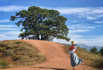 昆明+东川红土地【天然调色+纯玩8人内小团+可选当地农家菜】【核心景点一览无憾，领略红土大观，小清新亦或是苍凉大片等你来拍】