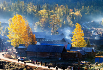 【新疆北疆天花板·冬季⑦日环线】开局即王炸！穿越林海雪原！【不用早起，中文司机，包车10小时/天】