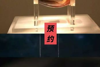 【含门票预约】陕西历史博物馆 本馆【高出票率  深度讲解】【[1]专业大咖讲解老师 全方位2.5小时深度讲解 带您真正的了解中国历史文化】