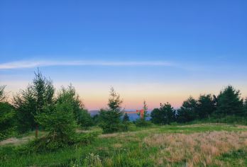 湖北宜昌博物馆+三峡大瀑布+百里荒一日游可英文服务【可提供英文及小语种导游服务-往返接送-可选导游-可代订门票】