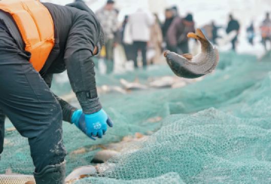 冰韵锡盟 | 多伦湖冬捕+冰上狂欢一日奇遇游【[度假优选]自主发团不散拼，自由随心，想停就停，喜欢的景点多呆会】