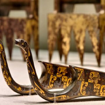 【含门票代预约】河北博物院文史大咖VIP包团人工讲解