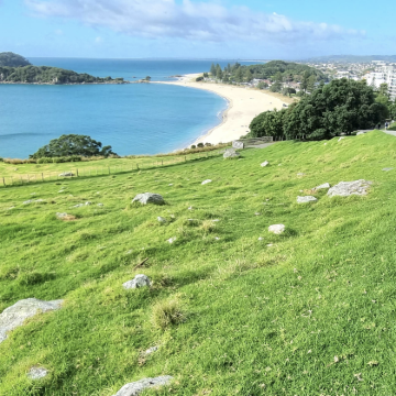 新西兰奥克兰-教堂湾-科罗曼德尔半岛【中文专车-惬意舒适】