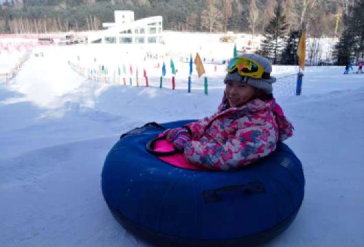 金山鹿苑+九峰山滑雪一日游【[优选行程]走进小兴安岭冰雪王国，体验冬季的冰雪乐趣】