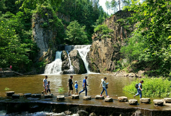 茅兰沟国家森林公园+嘉荫+江边公园一日游【独立包车本地向导】【独立用车，往返接送，多款车型选择，可定制专属行程】