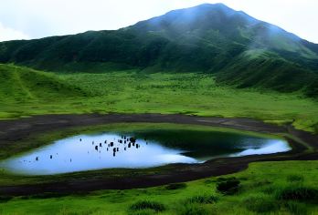 熊本/福冈/别府/由布院-定制包车-中文司机-行程可按需调整【定制玩法，私家包车，行程可调，定制行程以和客人确认为准】