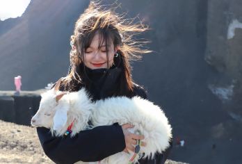 乌兰哈达火山地质公园+涝利海一日游【包车游/上门接】【专属客服一站式服务、行前途中售后24h接待，省心出行；】