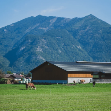 穿越湖光山色：打卡哈尔施塔特、沃尔夫冈【奥地利】