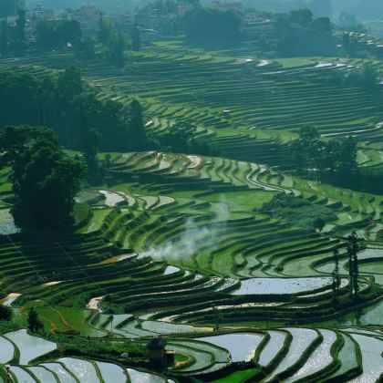 云南元阳/蒙自/建水出发【元阳梯田一日游+2-6人小团纯玩】