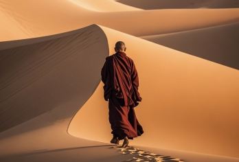 库布齐沙漠+五当召一日游【2-6人小包团 /14公里越野车】【[度假优选]：全程无购物、无自费，纯玩团！含14公里越野车】