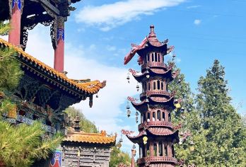 西宁+青海省博物馆+土楼观+东关清真大寺+下南关街一日游【车辆15%空座率，严选安全舒适车辆，优秀当地老司机，熟悉路况，安全驾驶，服务态度好，待客真诚】